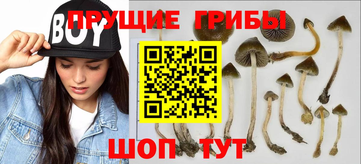 Галлюциногенные грибы прущие грибы Ахтубинск